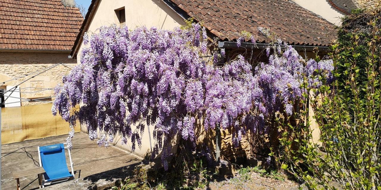 Gîte Du Bouyssou Carsac-Aillac Extérieur photo