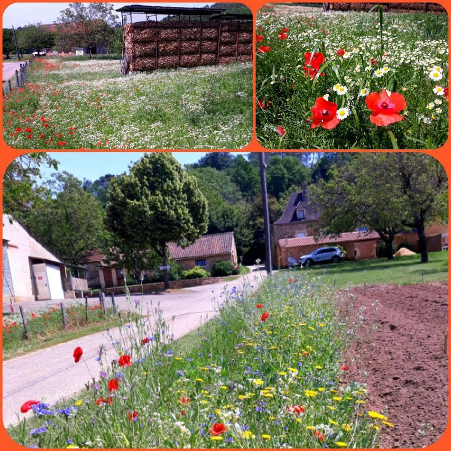 Gîte Du Bouyssou Carsac-Aillac Extérieur photo