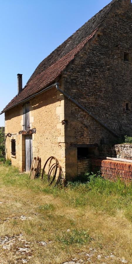 Gîte Du Bouyssou Carsac-Aillac Extérieur photo