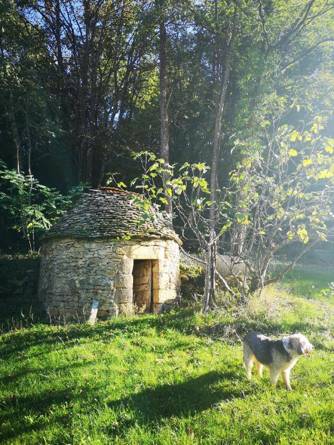 Gîte Du Bouyssou Carsac-Aillac Extérieur photo